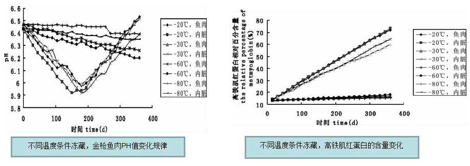 金槍魚儲(chǔ)藏溫度