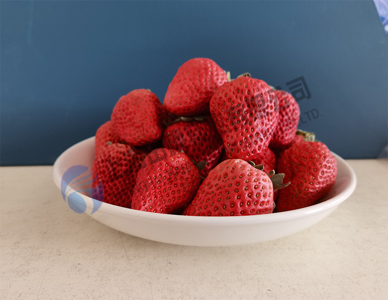 草莓冻干机，水果冻干机