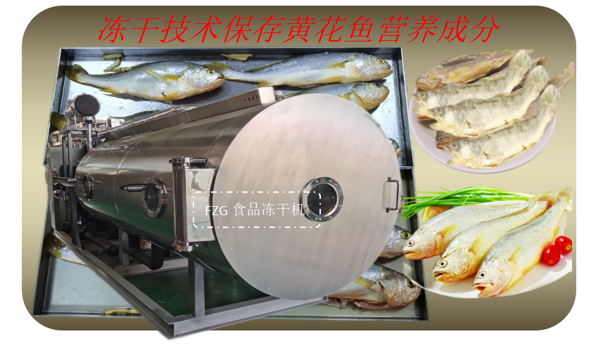 食品冻干机在黄花鱼冻干加工生产应用