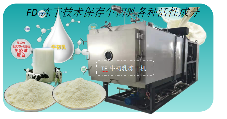 牛初乳冻干技术和牛初乳冻干机设备