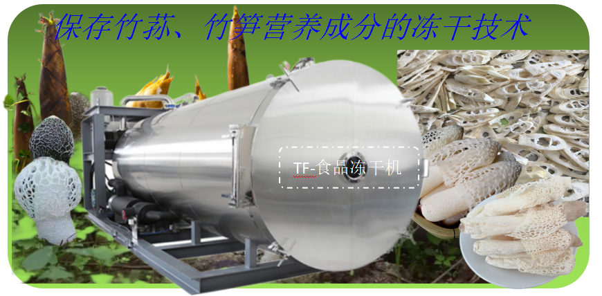 竹荪竹笋冻干加工优势和食品冻干机结构组成