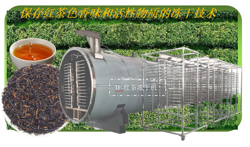 红茶冻干技术和红茶冻干机工作原理