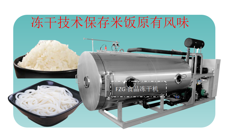 食品冻干机在速食米饭冻干、米粉冻干加工应用