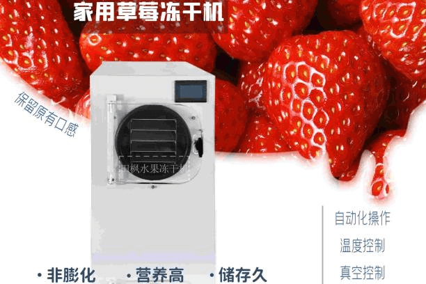 揭秘草莓冻干机的神奇魔力