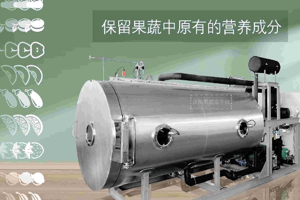 冻干科技助力菠萝蜜