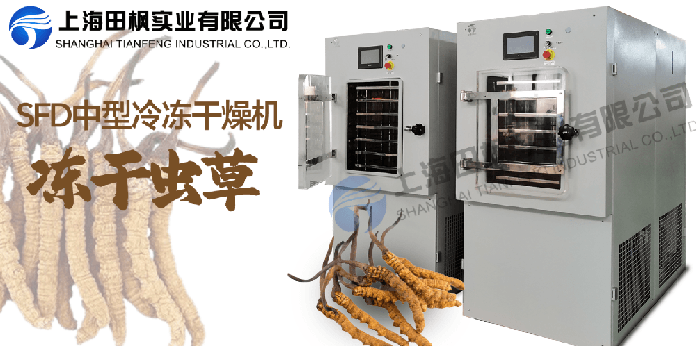 冻干机在虫草保鲜中的应用