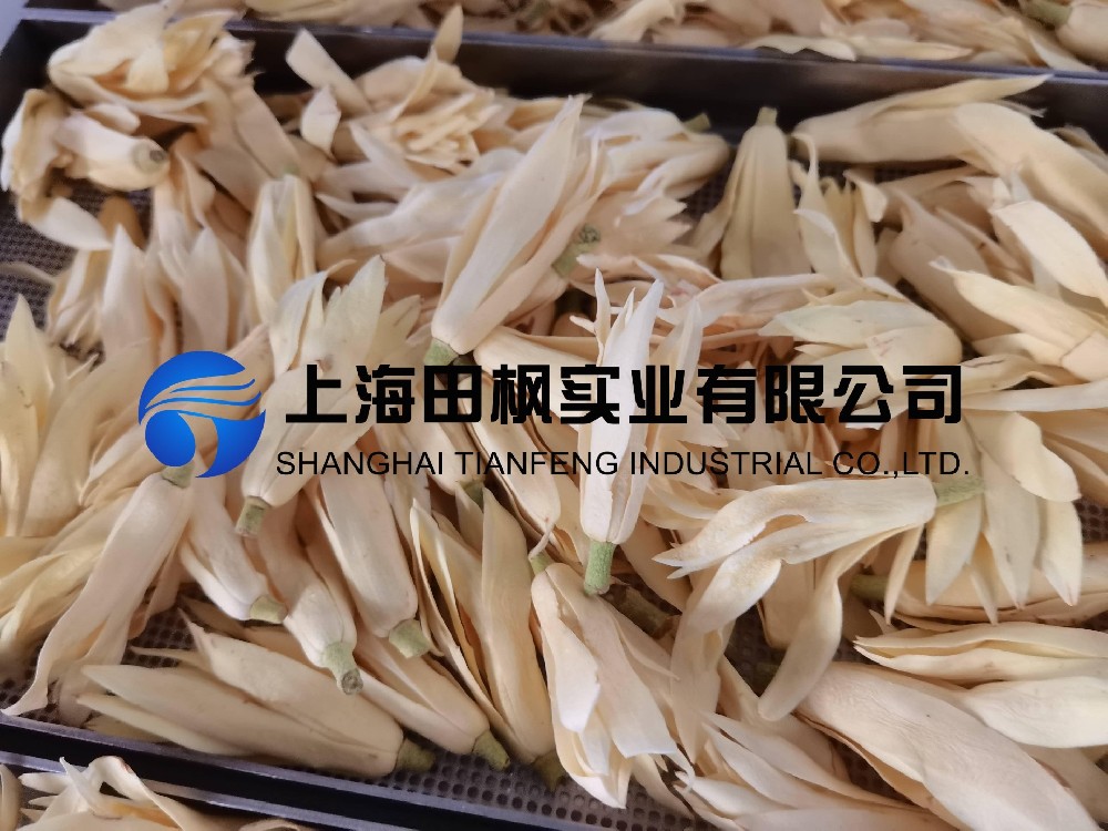 白玉兰(1).jpg