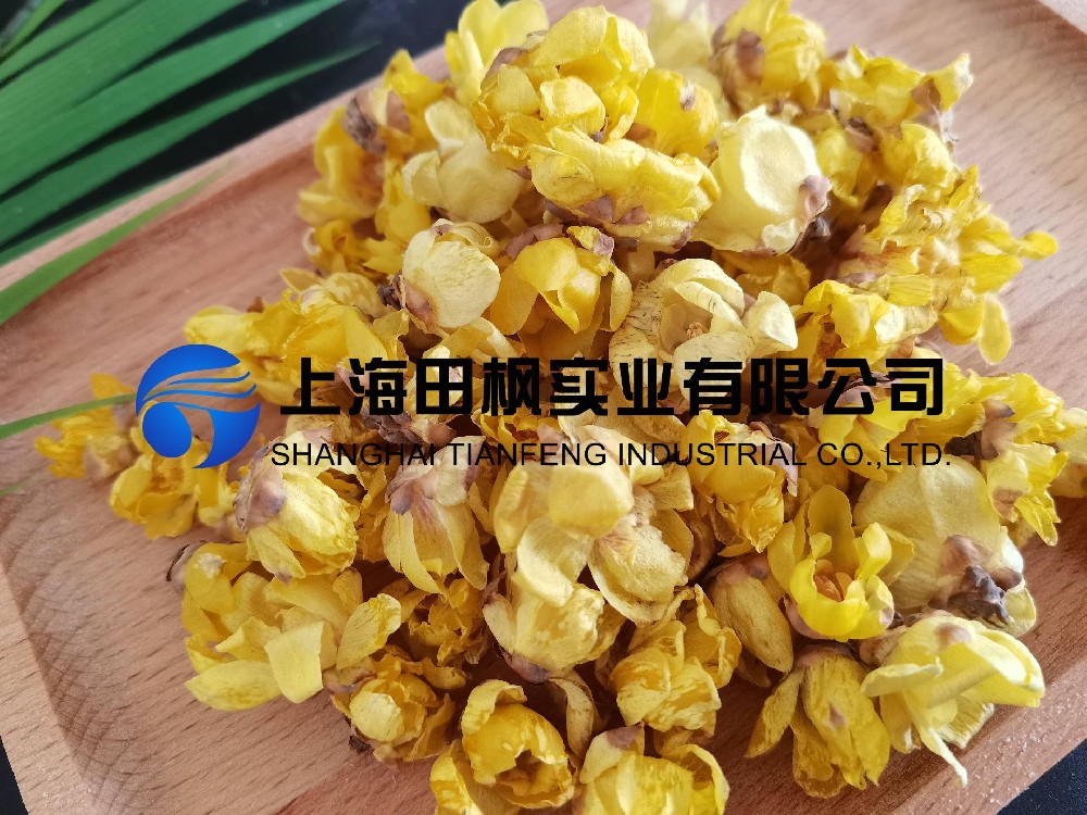 腊梅花(1).jpg