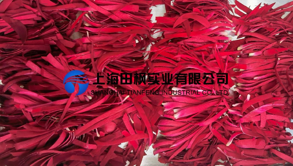 玫瑰花瓣(1).jpg