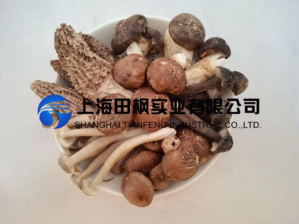 冻干菌菇1(1).jpg