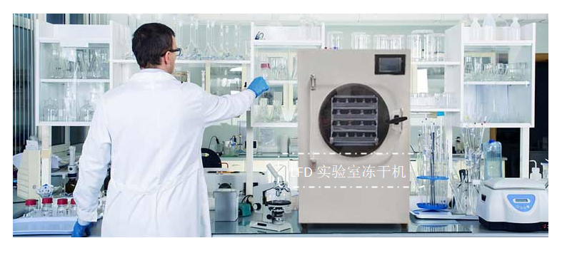从实验室到量产：材料冷冻干燥机放大与优化