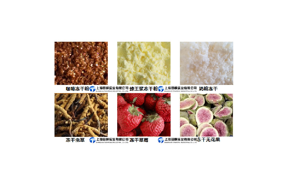 冷冻干燥机在食品行业应用范围