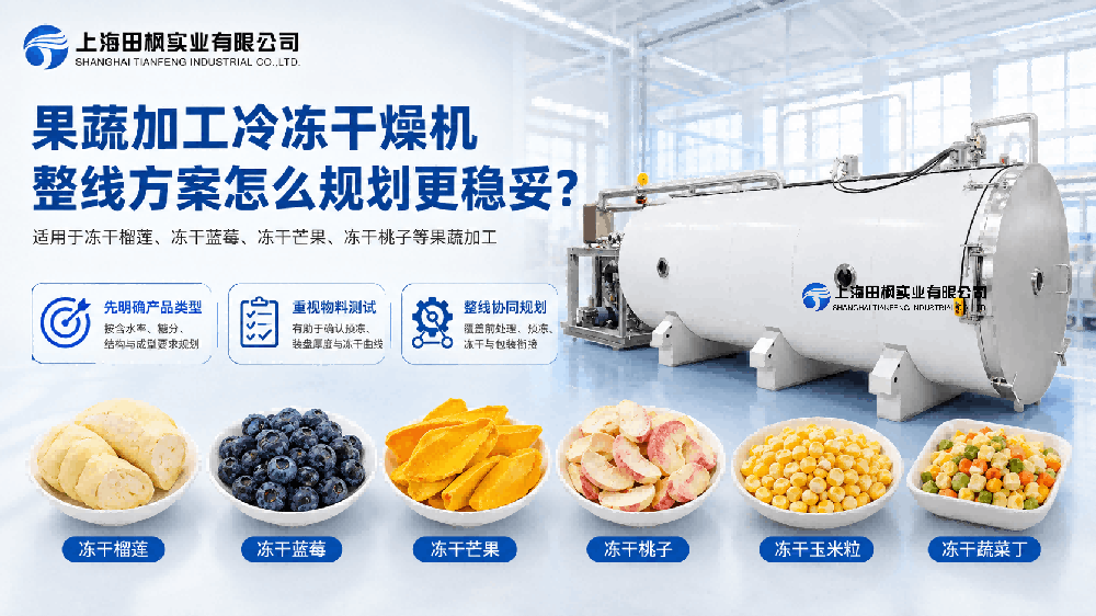 果蔬加工冷冻干燥机整线方案怎么规划更稳妥？
