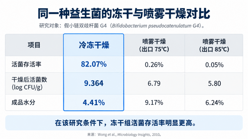 益生菌冻干粉加工，冷冻干燥机如何影响活菌存活率